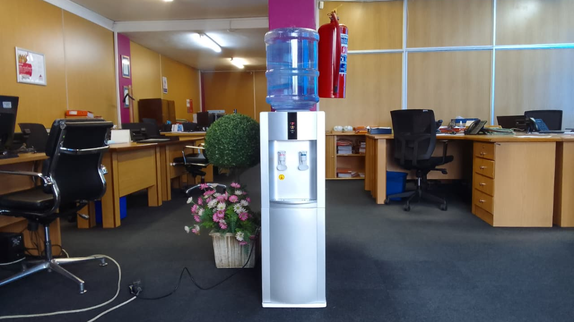 Water dispenser